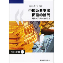 世界经济中的中国：中国公共支出面临的挑战