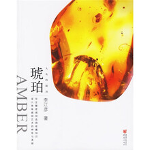 人鱼的眼泪:琥珀