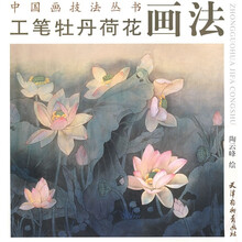工笔牡丹荷花画法