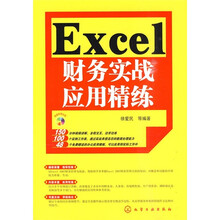 Excel财务实战应用精练(附光盘)