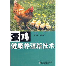 蛋鸡健康养殖新技术