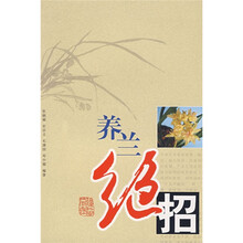 养兰绝招