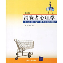 消费者心理学(第3版)