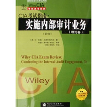 Wiley CIA考试用书系列：CIA考试指南实施内部审计业务（理论卷）（第3版）