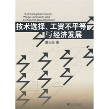 技术选择、工资不平等与经济发展