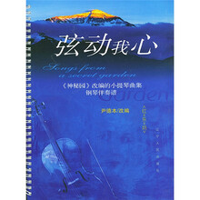 弦动我心：〈神秘园〉改编的小提琴曲集
