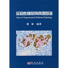 实验性糖尿病病理图谱