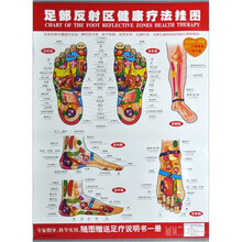 足部反射区健康疗法挂图
