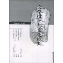 文学批评与文化批判