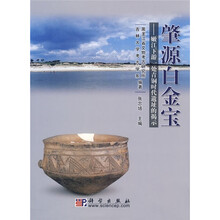 肇源白金宝:嫩江下游一处青铜时代遗址的揭示