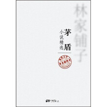 我爱文学系列：矛盾小说精选