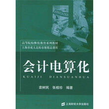 高等院校继续教育系列教材:会计电算化(附光盘)