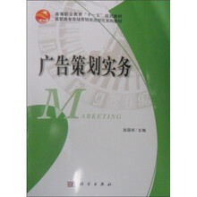 广告策划实务