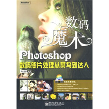 Photoshop数码照片处理从菜鸟到达人（附DVD光盘1张）