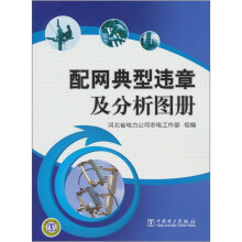 配网典型违章及分析图册