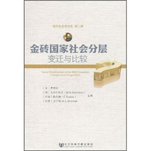 金砖国家社会分层：变迁与比较