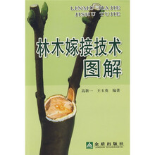 林木嫁接技术图解