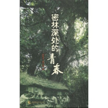 密林深处的青春：知青西双版纳胶林春秋