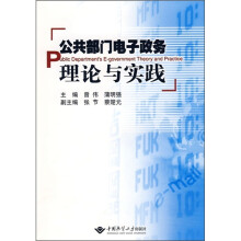 公共部门电子政务理论与实践