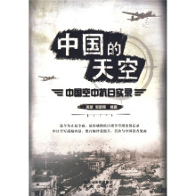 中国的天空：中国空中抗日实录