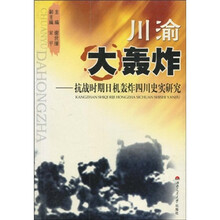川渝大轰炸：抗战时期日机轰炸四川史实研究