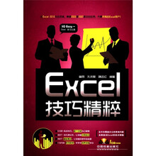 Excel技巧精粹（附光盘1张）