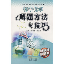 数理化解题方法与技巧丛书:初中化学解题方法与技巧(新课标最新版)