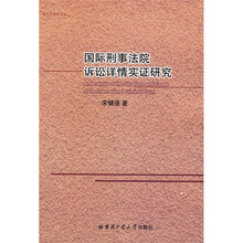 国际刑事法院诉讼详情实证研究