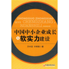 中国中小企业成长及软实力建设