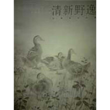 清新野逸：许晓彬作品选