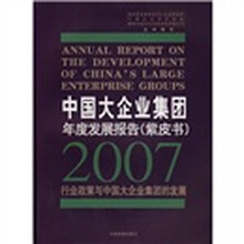 中国大企业集团年度发展报告（紫皮书）：2007行业政策与中国大企业集团的发展