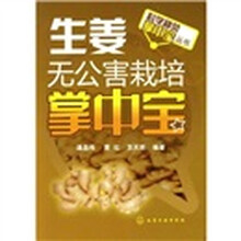 科学种菜掌中宝丛书：生姜无公害栽培掌中宝
