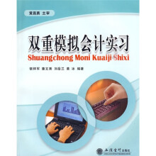 双重模拟会计实习