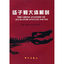 扬子鳄大体解剖
