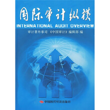国际审计纵横(第11集)