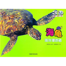 海龟:海洋漫游者