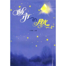 城市的月光