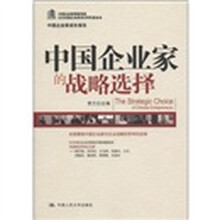 中国企业家成长报告:中国企业家的战略选择