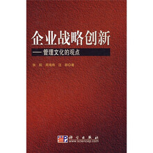 企业战略创新：管理文化的观点