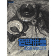 成功之路中青新世纪美术高考系列丛书·造型讲堂:素描静物基础训练