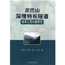 泥巴山深埋特长隧道岩体工程问题研究