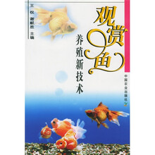 观赏鱼养殖新技术
