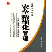 安全精细化管理:世界500强安全管理精要