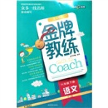 金牌教练:语文(6年级下册)(RJ版)