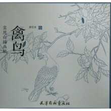 实用白描画稿：禽鸟