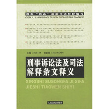 刑事诉讼法及司法解释条文释义