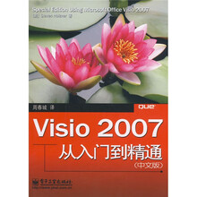 Visio2007从入门到精通（中文版）