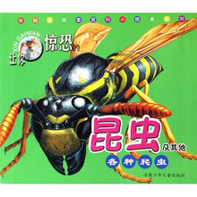 新概念探索百科小怪兽系列：让你惊恐的昆虫及其他各种爬虫