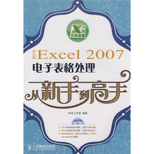 Excel 2007电子表格处理从新手到高手(中文版)(附CD光盘1张)