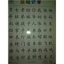 阳光宝贝大挂图·阳光宝贝：基础识字